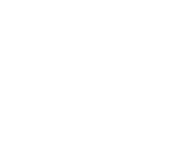 Evolution games at Winsane Casino